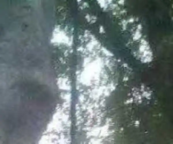 Photo: Taraba State Man Commits Suicide Due To Hardship